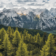 SH009-VD1-Wild-Dolomites Фотообои Komar Stefan Hefele x
